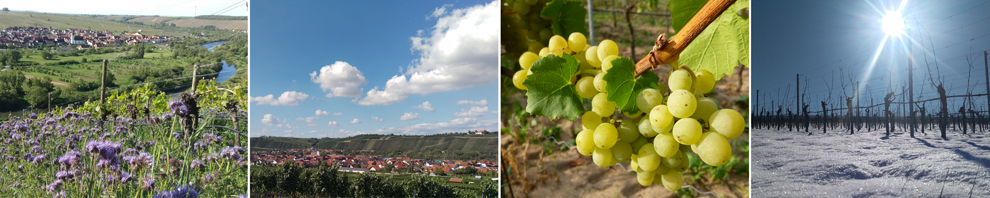 Banner Rezeption 2023 Banner Rezeption 2023